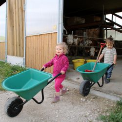 Kinder helfen im Stall