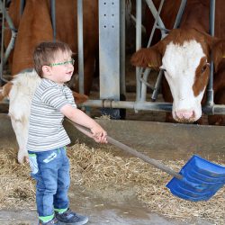 Kinder helfen im Stall