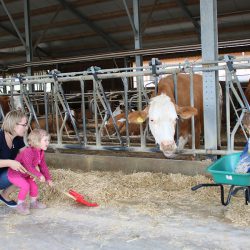 Kinder helfen im Stall