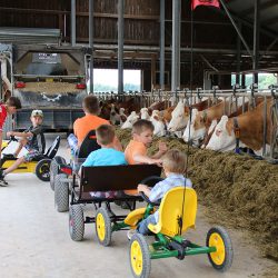 Kinder im Kuhstall