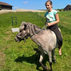 Pony reiten